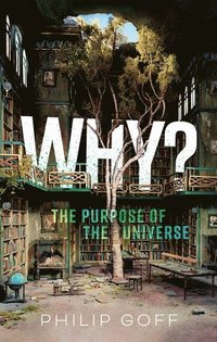 Why? The Purpose of the Universe